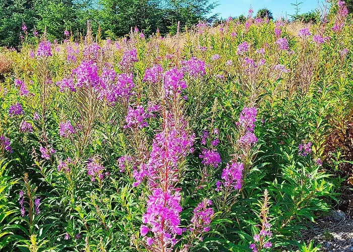 8 Person In Hellesoy-by Traum 度假居